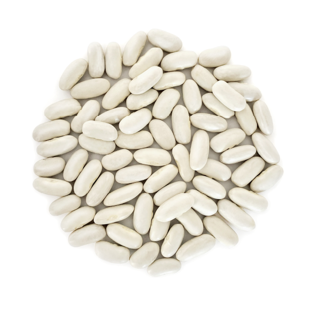 alousra_Beans_Alubias