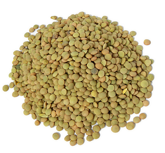 alousra_Lentils_01